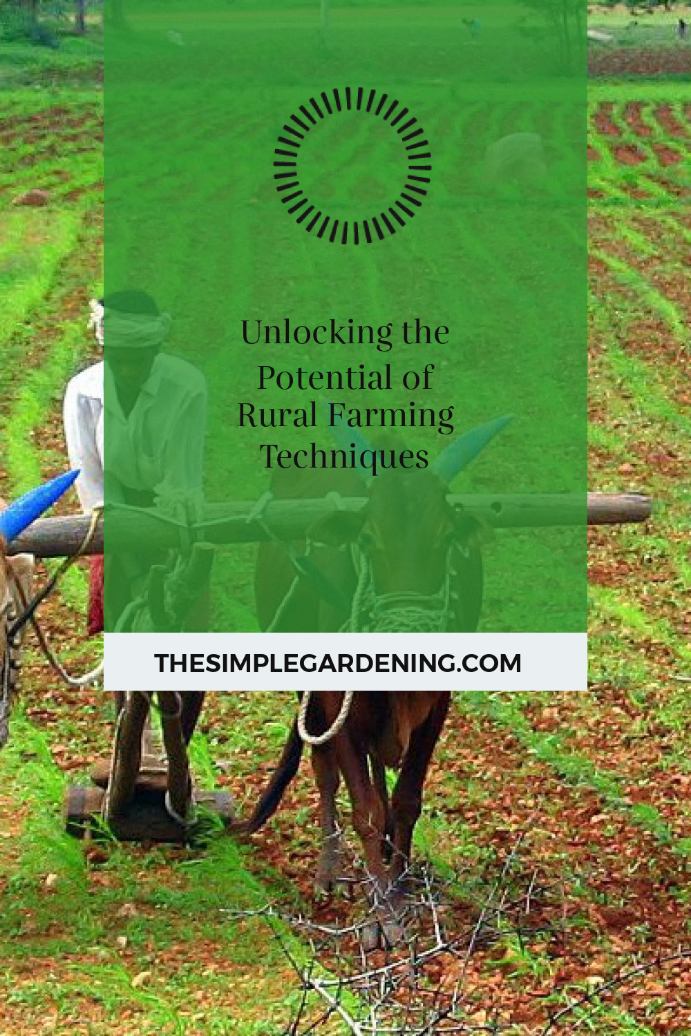 Unlocking the Potential of Rural Farming Techniques